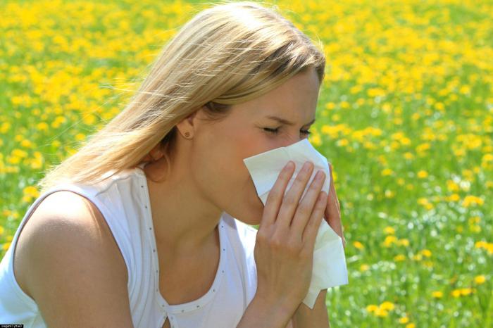 аллергия на амброзию у детей