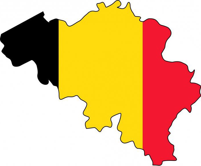 бельгия форма правления