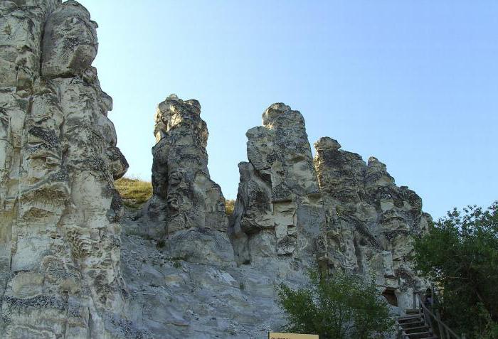 меловые горы в Воронежской области