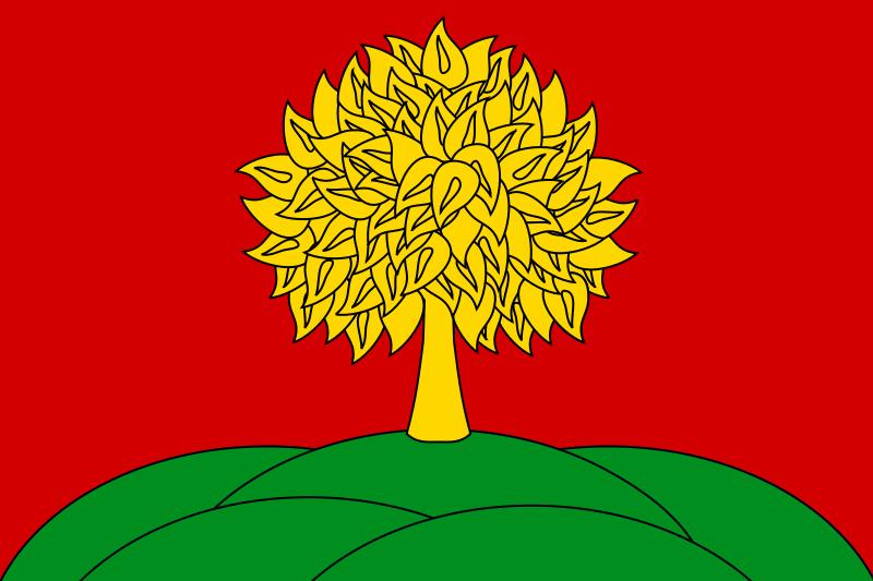 флаг Липецкой области