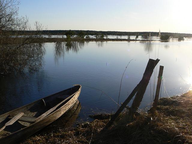 Вологодская область река Молога