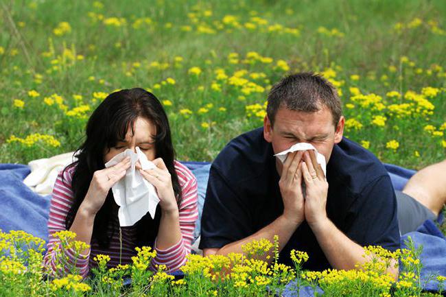 как лечить сезонную аллергию