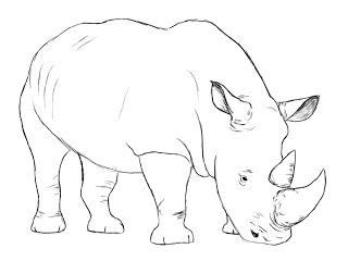 как нарисовать носорога карандашом поэтапно