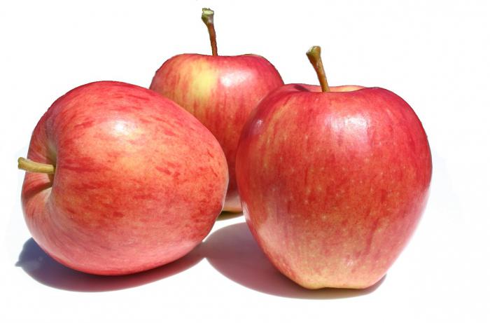 польские яблоки сорта