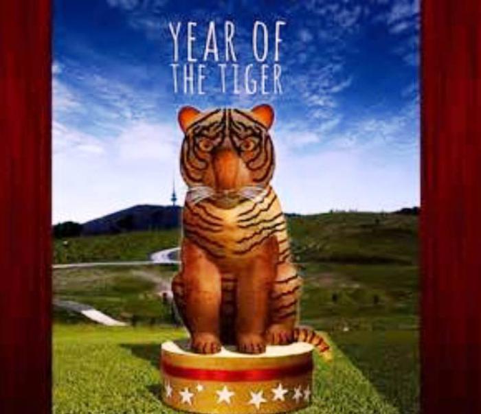 характеристика рожденных в год тигра