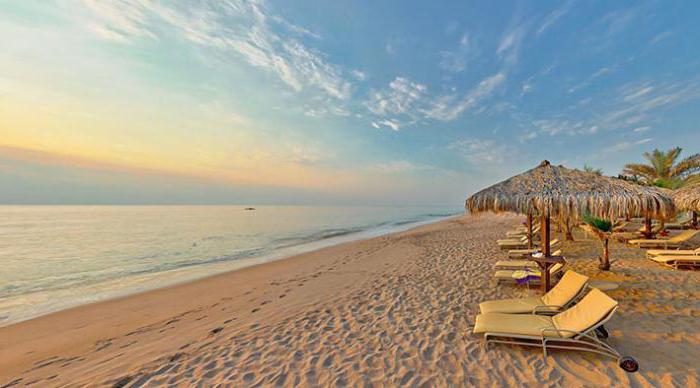 miramar al aqah beach resort 5 фото