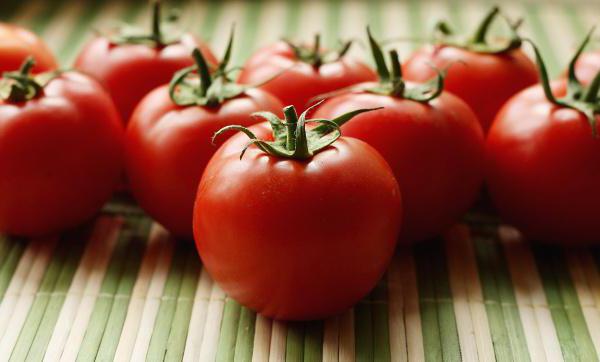 выращивание помидоров по методу и м маслова 