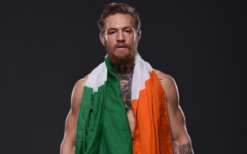 Ирландский боксер