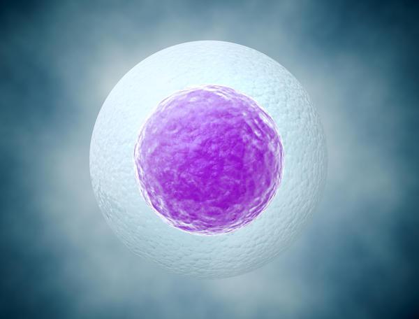 Отслойка плодного яйца на ранних сроках беременности