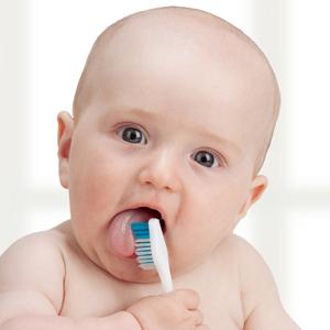 Прорезывание зубов у младенцев. Схема