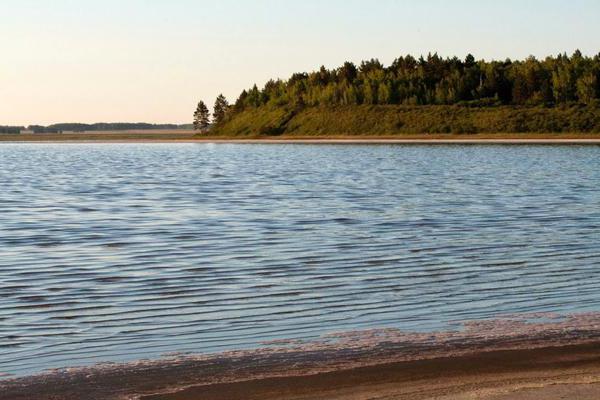 озеро медвежье курганская область