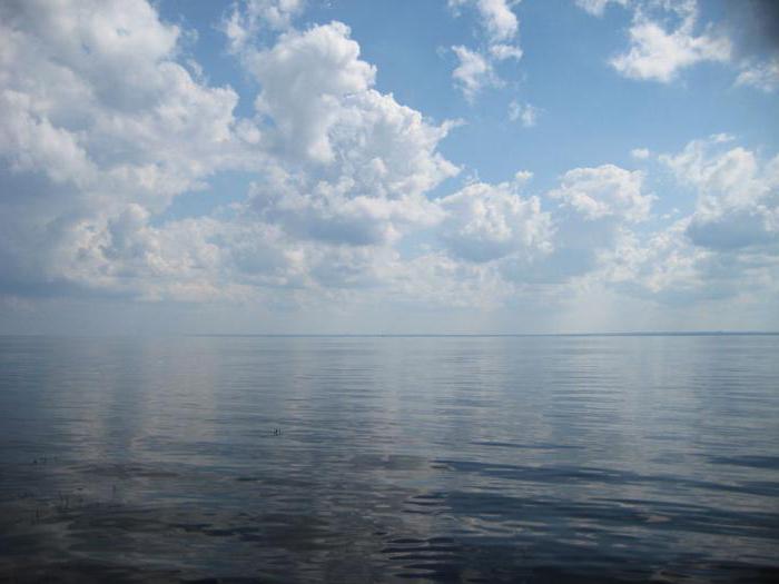 прогноз клева на кубенском озере