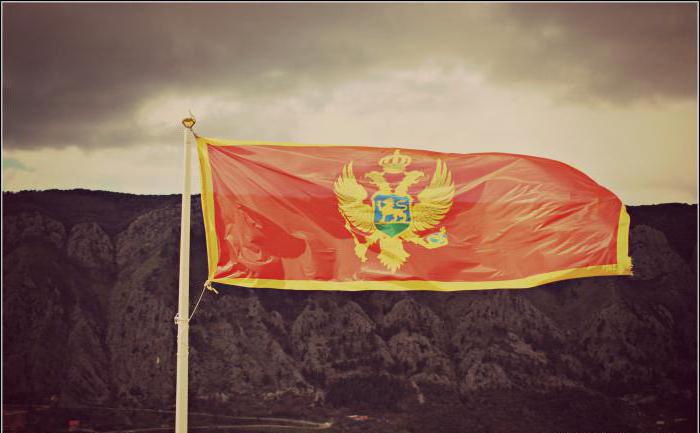 черногория состав населения