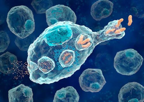 процессы жизнедеятельности клетки человека 