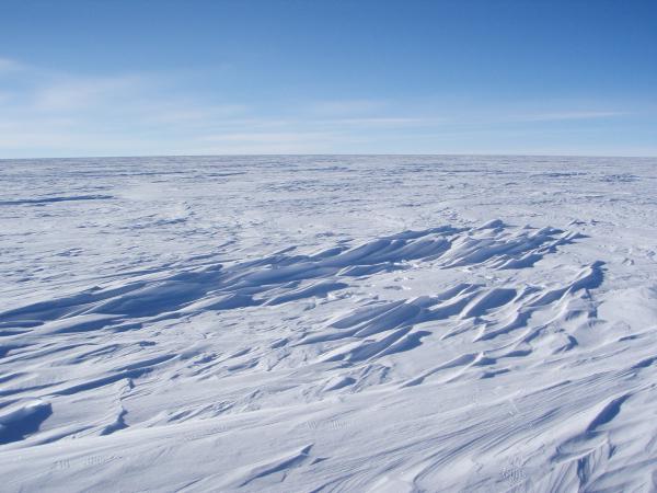 южная антарктида