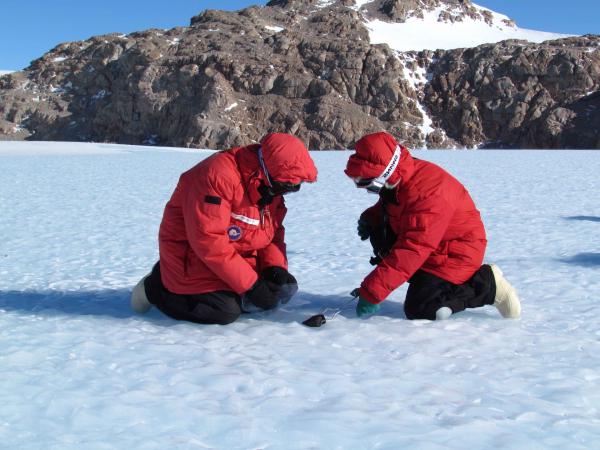 метеорит, обнаруженный учеными в Антарктиде