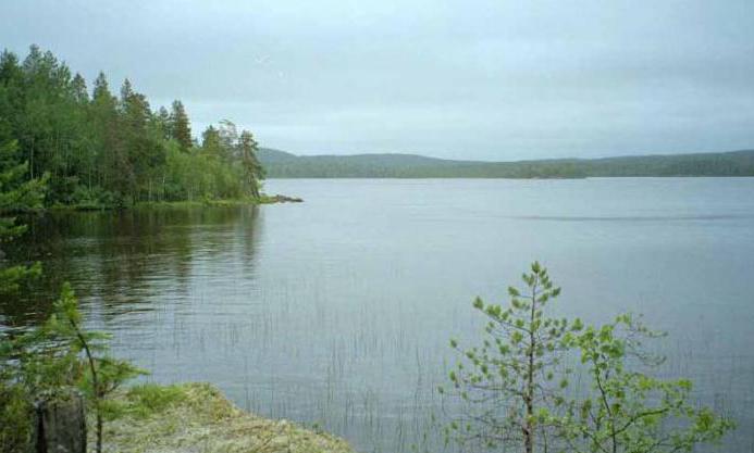 зимняя рыбалка в тюмени