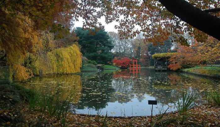 бруклинский ботанический сад фото