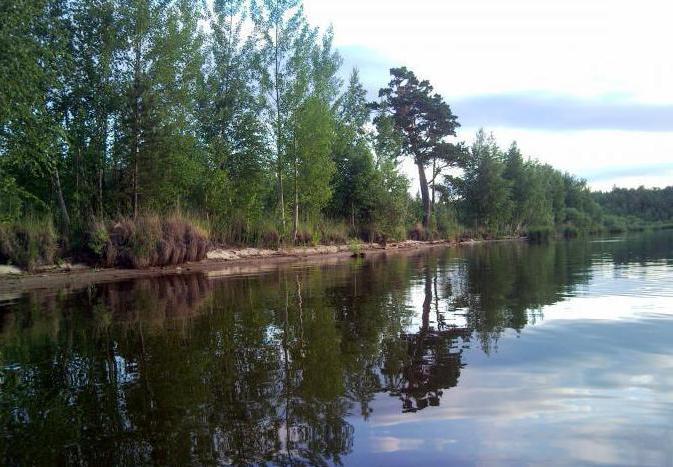 озеро шитовское свердловская область 