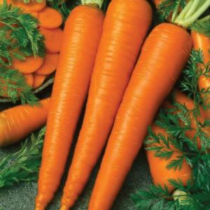 морковный дип