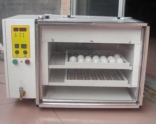 инкубатор с автоматическим переворотом яиц 