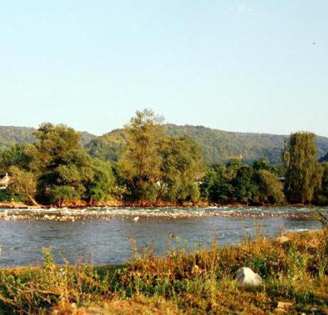 левый приток реки Кубань