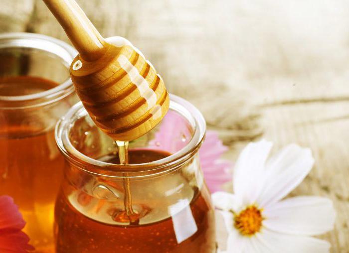 лесной мед полезные свойства и противопоказания