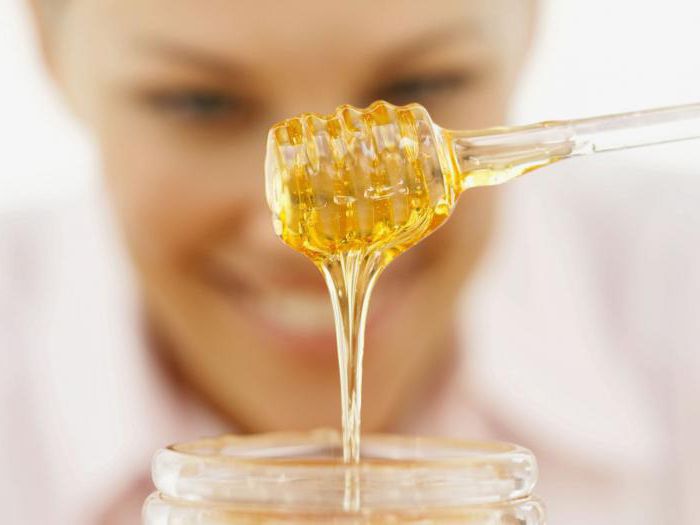 лесной мед лечебные свойства и противопоказания