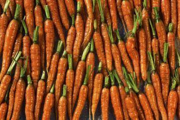 семена моркови лучшие сорта фото