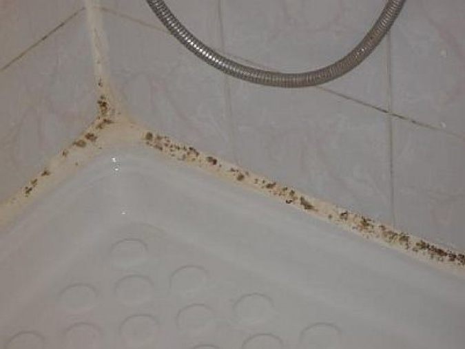 медный купорос применение против грибка в ванной