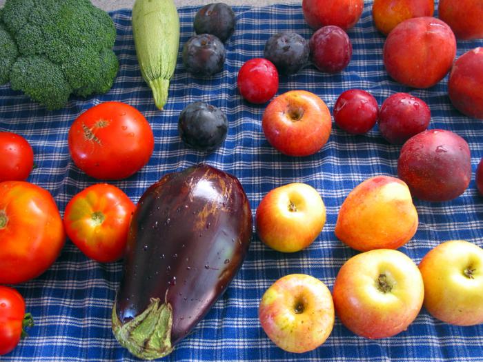 детские загадки про фрукты овощи