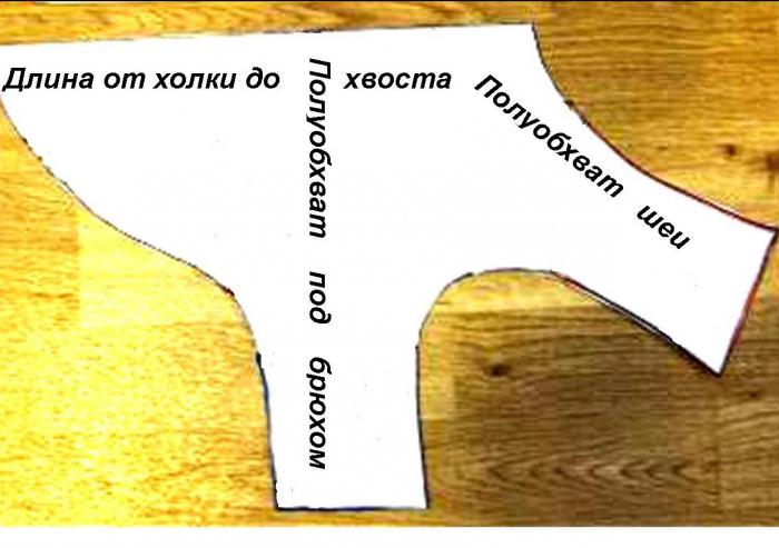 одежда для той терьера своими руками выкройки 