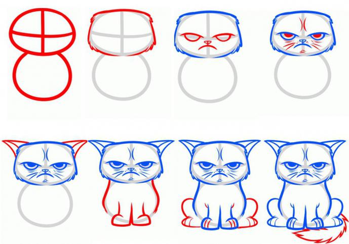 как нарисовать мультяшного кота