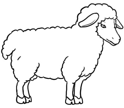 как нарисовать овечку 