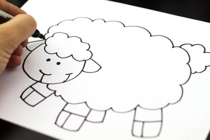 как нарисовать овечку карандашом поэтапно 