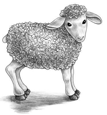 как нарисовать овечку для детей 
