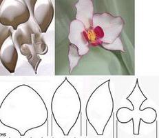 мастер класс орхидея из фоамирана 