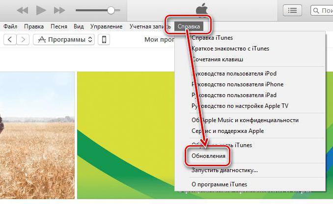 как обновить айтюнс