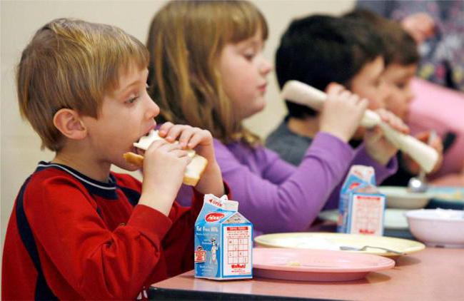 питание детей из многодетных семей в школе