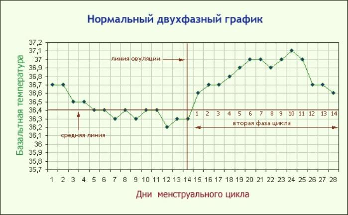 График БТ