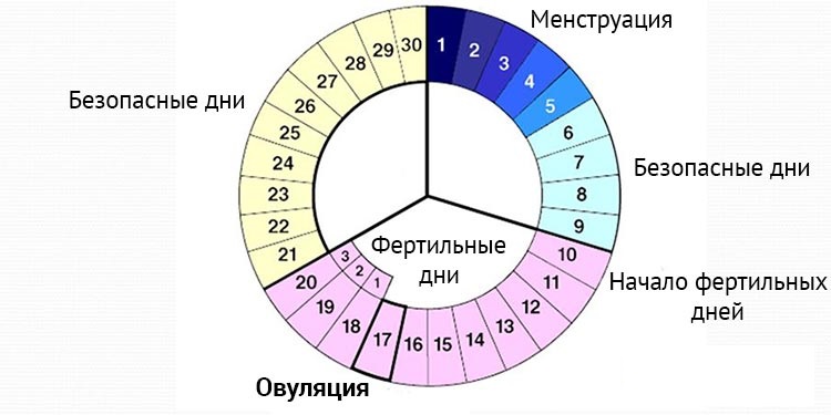 таблица расчета менструального цикла