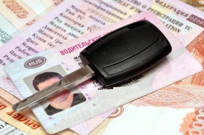Стоимость водительского удостоверения