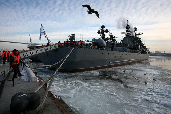 тихоокеанский флот вмф россии база