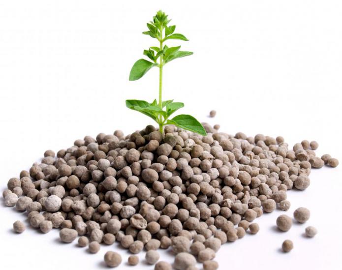Для каких целей используют фосфорсодержащие удобрения – что относится к фосфорным удобрениям?