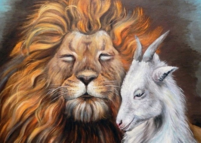 Отношения Льва и Козерога