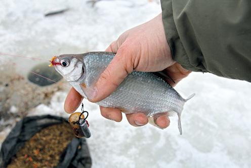 Блесна для зимней рыбалки