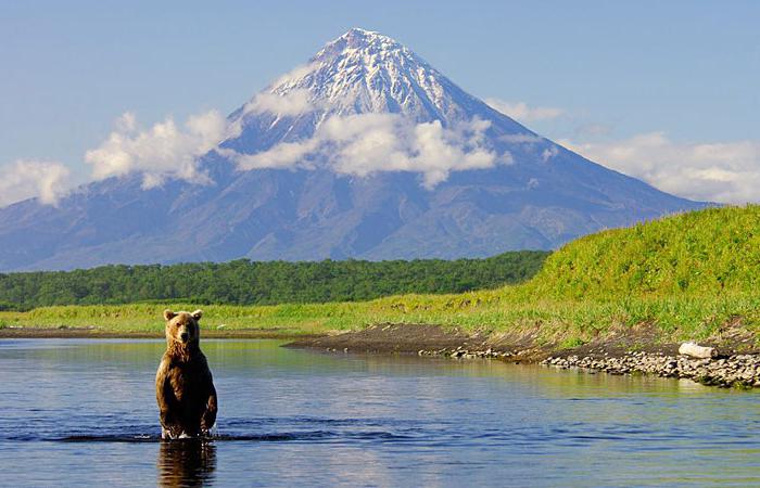 выгодный бизнес в селе