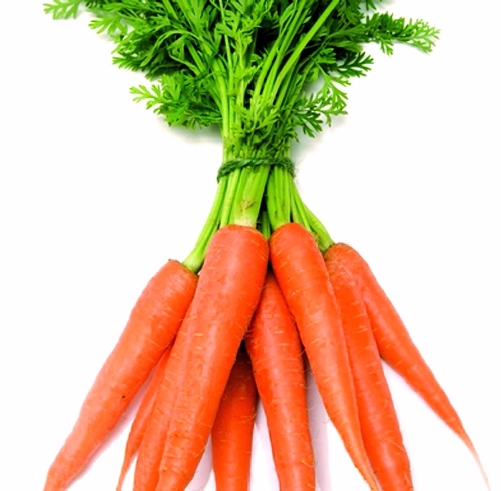 какой вид моркови крупнейший