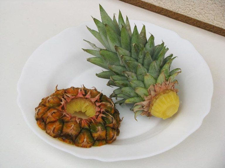 как можно вырастить ананас в домашних условиях
