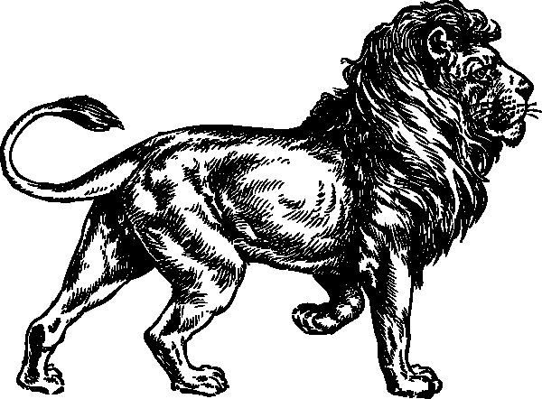 лев знак зодиака и водолей